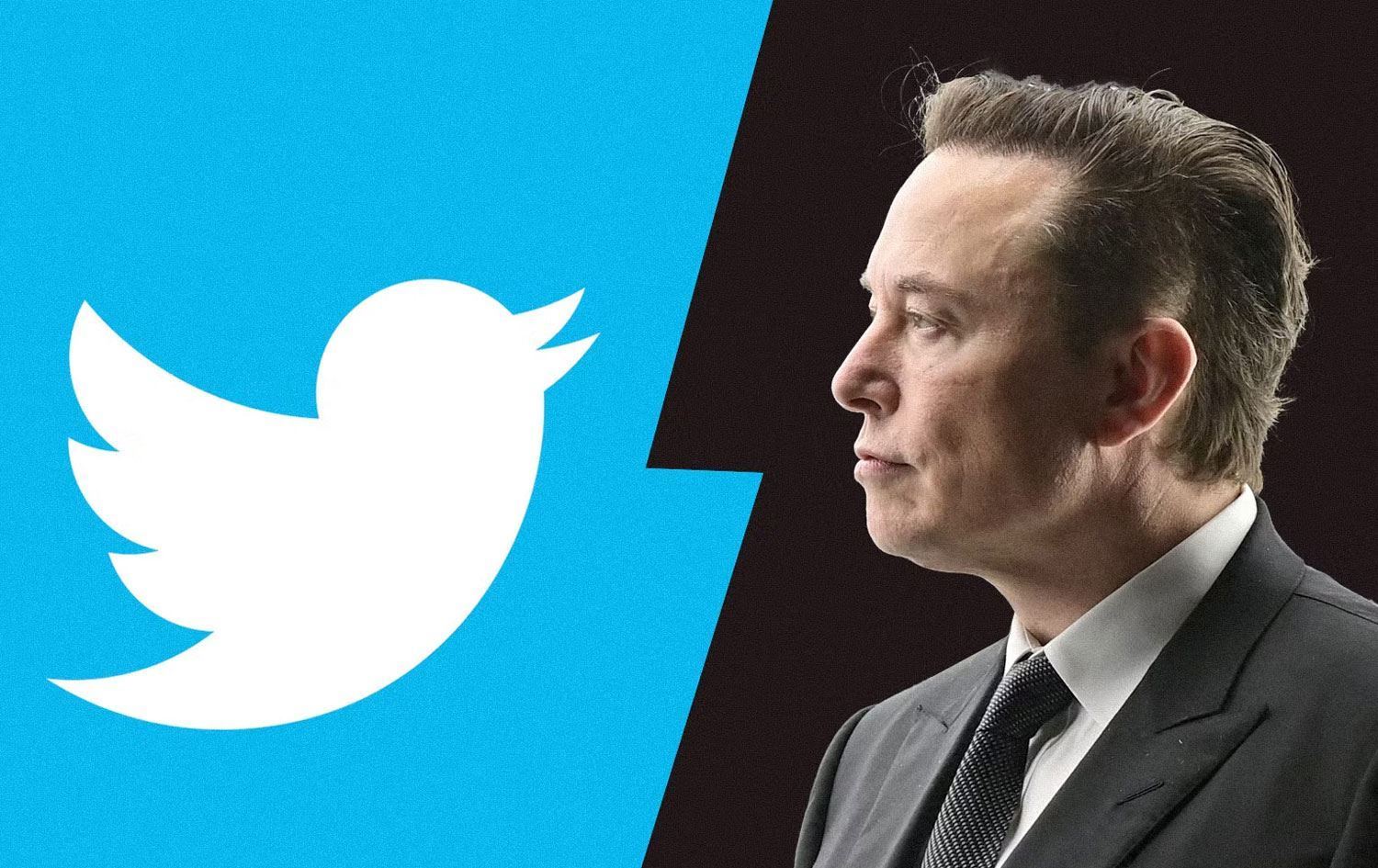 Twitter, 10 Businesses Owned By Elon Musk That Makes Him Money 1